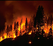 Increased wildfire danger in the Southwest United States is associated with La Niña events.